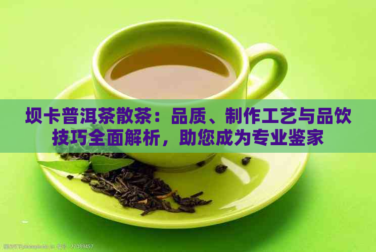 坝卡普洱茶散茶：品质、制作工艺与品饮技巧全面解析，助您成为专业鉴家