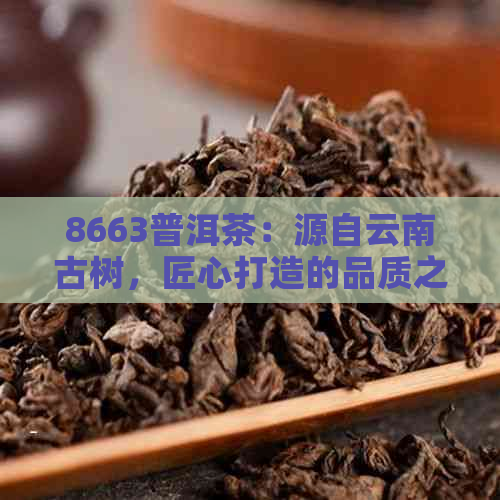 8663普洱茶：源自云南古树，匠心打造的品质之选