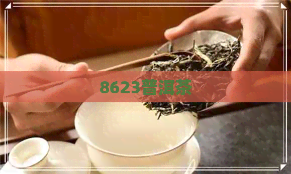 8623普洱茶