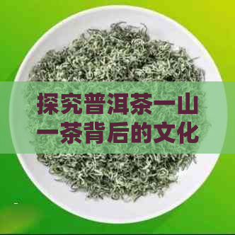 探究普洱茶一山一茶背后的文化与品种奥秘