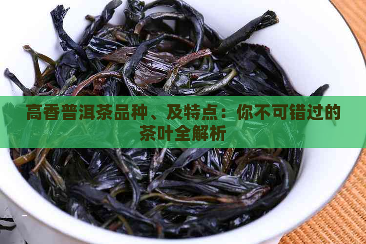 高香普洱茶品种、及特点：你不可错过的茶叶全解析