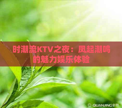 时潮流KTV之夜：凤起潮鸣的魅力娱乐体验