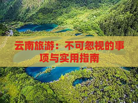 云南旅游：不可忽视的事项与实用指南