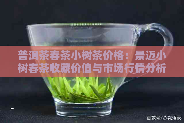 普洱茶春茶小树茶价格：景迈小树春茶收藏价值与市场行情分析