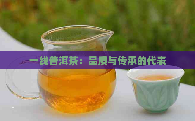 一线普洱茶：品质与传承的代表