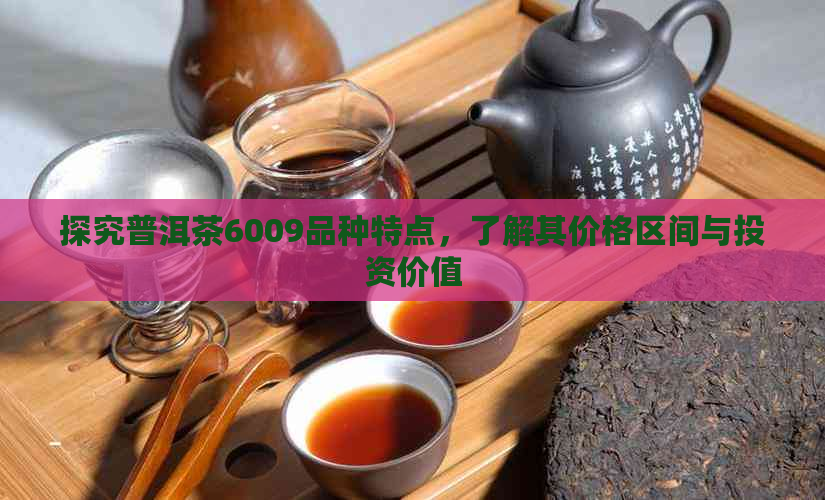 探究普洱茶6009品种特点，了解其价格区间与投资价值