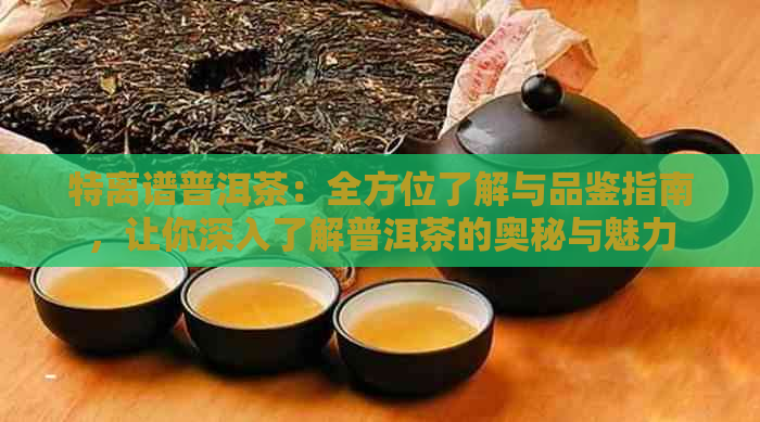 特离谱普洱茶：全方位了解与品鉴指南，让你深入了解普洱茶的奥秘与魅力