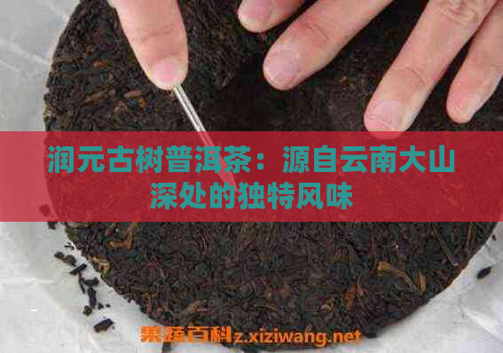 润元古树普洱茶：源自云南大山深处的独特风味