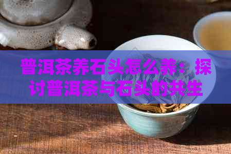 普洱茶养石头怎么养：探讨普洱茶与石头的共生之道