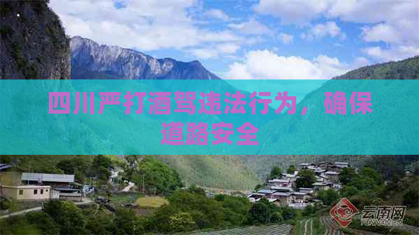 四川严打酒驾违法行为，确保道路安全