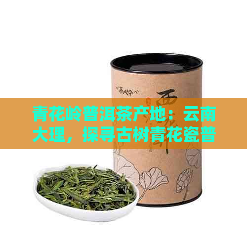 青花岭普洱茶产地：云南大理，探寻古树青花瓷普洱茶的故事