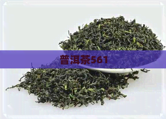 普洱茶561