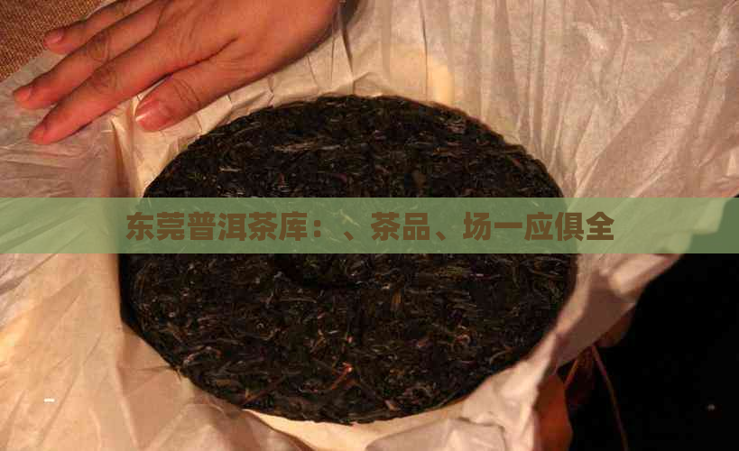 东莞普洱茶库：、茶品、场一应俱全