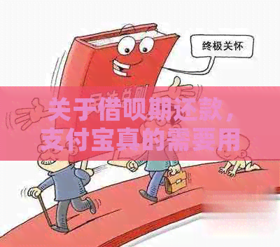 关于借呗期还款，支付宝真的需要用户密码吗？