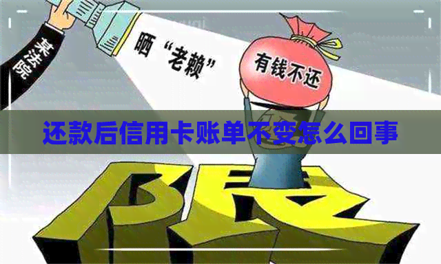 还款后信用卡账单不变怎么回事