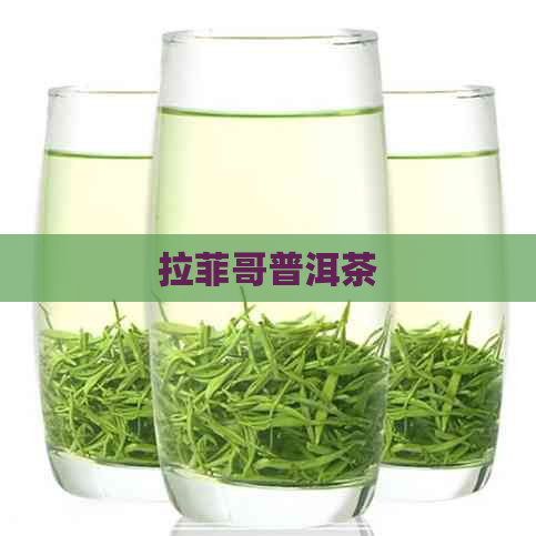 拉菲哥普洱茶