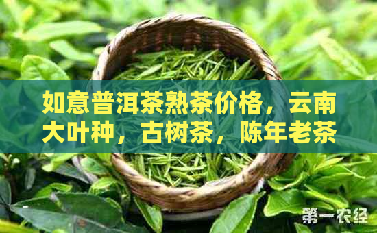 如意普洱茶熟茶价格，云南大叶种，古树茶，陈年老茶，购买指南