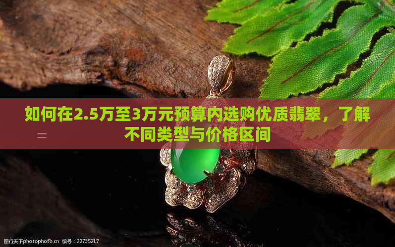 如何在2.5万至3万元预算内选购优质翡翠，了解不同类型与价格区间