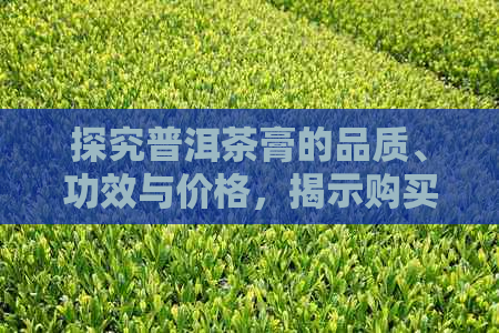 探究普洱茶膏的品质、功效与价格，揭示购买误区