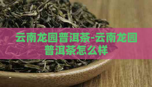 云南龙园普洱茶-云南龙园普洱茶怎么样