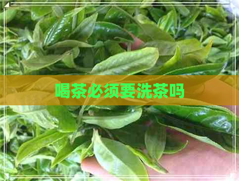 喝茶必须要洗茶吗