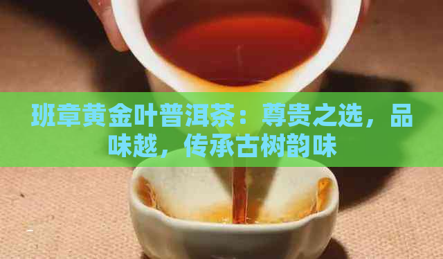 班章黄金叶普洱茶：尊贵之选，品味越，传承古树韵味