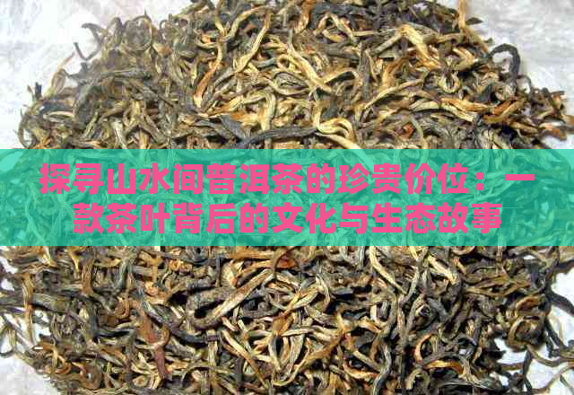 探寻山水间普洱茶的珍贵价位：一款茶叶背后的文化与生态故事