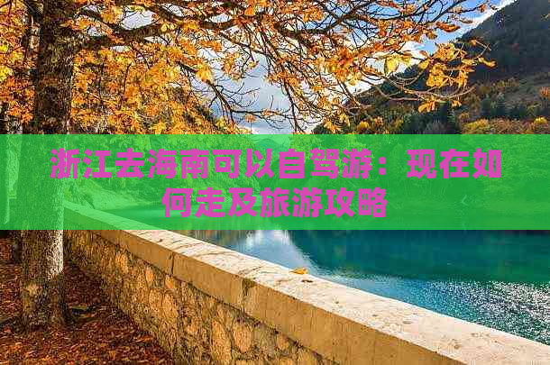 浙江去海南可以自驾游：现在如何走及旅游攻略