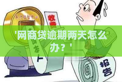 '网商贷逾期两天怎么办？'