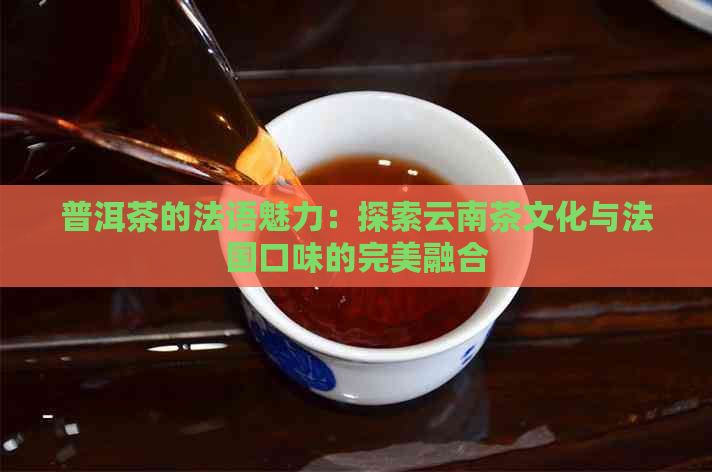 普洱茶的法语魅力：探索云南茶文化与法国口味的完美融合