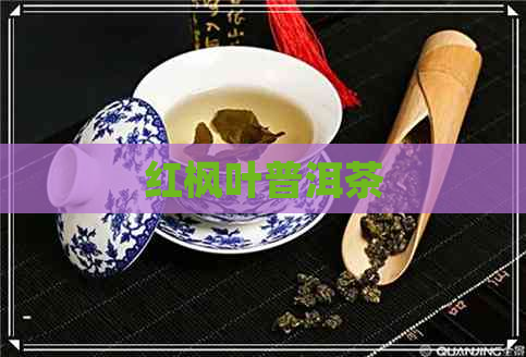 红枫叶普洱茶