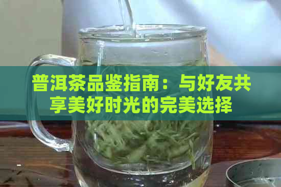 普洱茶品鉴指南：与好友共享美好时光的完美选择