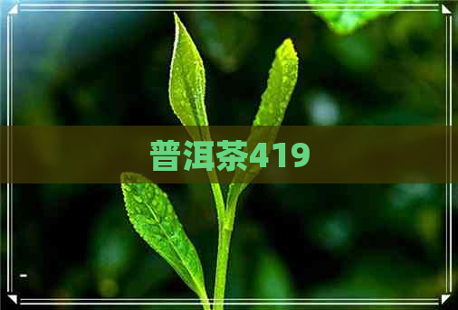 普洱茶419