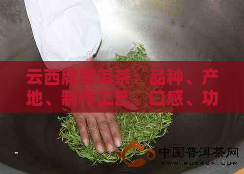 云西牌普洱茶：品种、产地、制作工艺、口感、功效与泡法一应俱全的全面指南