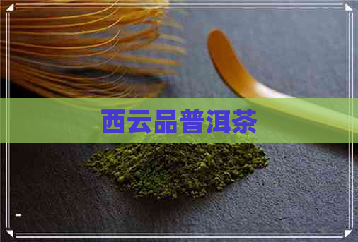 西云品普洱茶