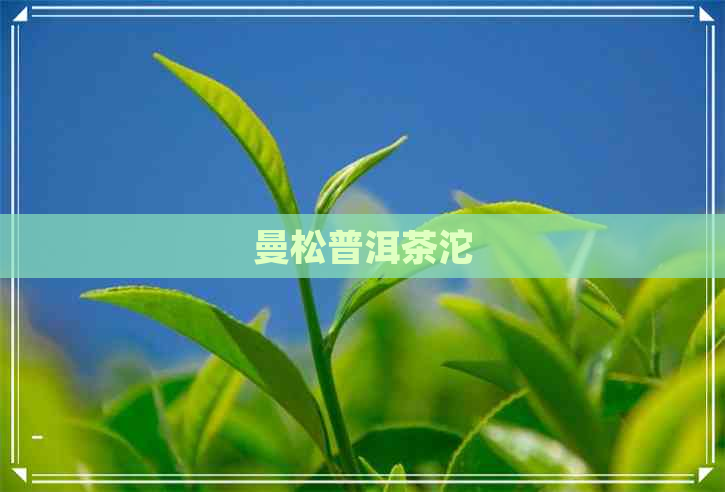 曼松普洱茶沱