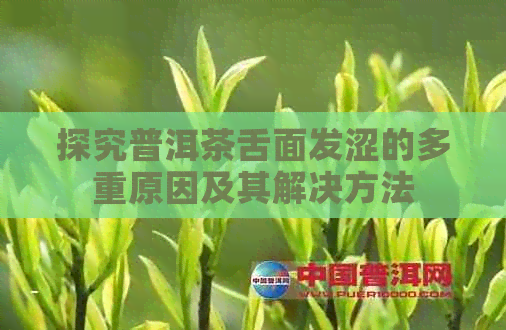 探究普洱茶舌面发涩的多重原因及其解决方法