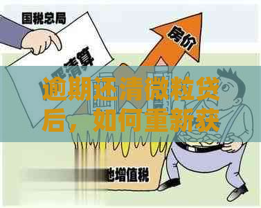 逾期还清微粒贷后，如何重新获得贷款资格以及注意事项