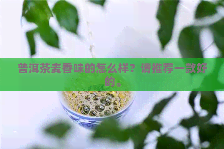 普洱茶麦香味的怎么样？请推荐一款好的。