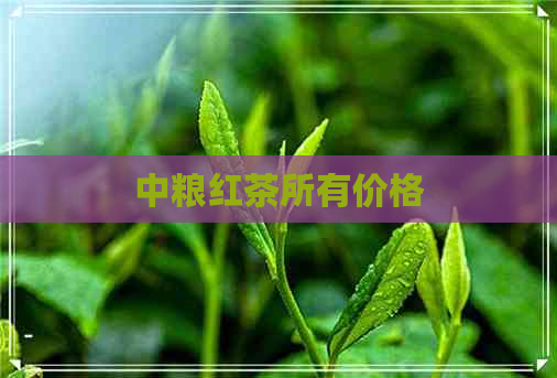 中粮红茶所有价格