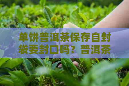 单饼普洱茶保存自封袋要封口吗？普洱茶饼密封袋保存