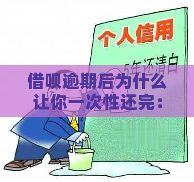 借呗逾期后为什么让你一次性还完：原因与解答