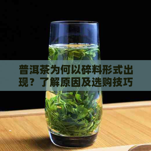 普洱茶为何以碎料形式出现？了解原因及选购技巧