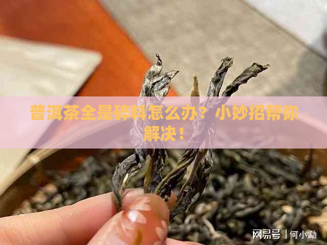 普洱茶全是碎料怎么办？小妙招帮你解决！