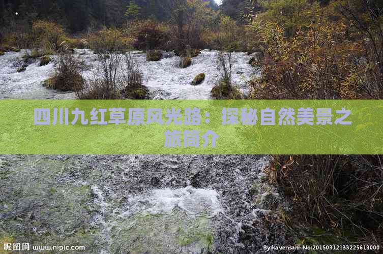 四川九红草原风光路：探秘自然美景之旅简介