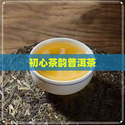 初心茶韵普洱茶