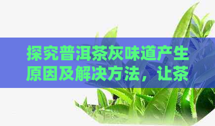 探究普洱茶灰味道产生原因及解决方法，让茶味更纯正！