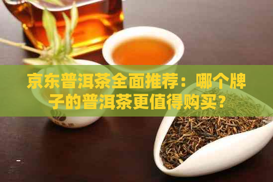 京东普洱茶全面推荐：哪个牌子的普洱茶更值得购买？