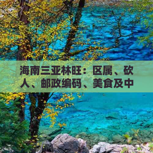 海南三亚林旺：区属、砍人、邮政编码、美食及中学一览