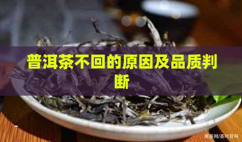 普洱茶不回的原因及品质判断